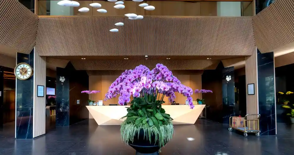 Boutique recepció virágai
